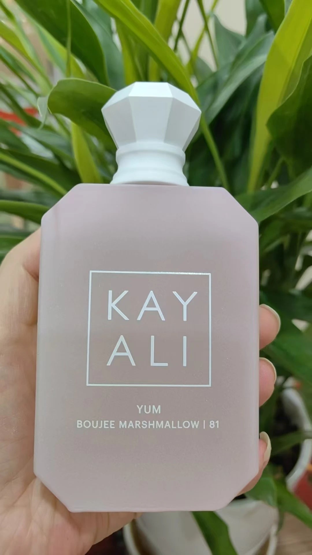 Colección de perfumes KAYALI Eau De Parfum de 100 ml – Fragancia de lujo de larga duración para mujeres y hombres – Múltiples opciones de aromas