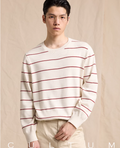 Men's Crew Neck Striped Knit Sweater