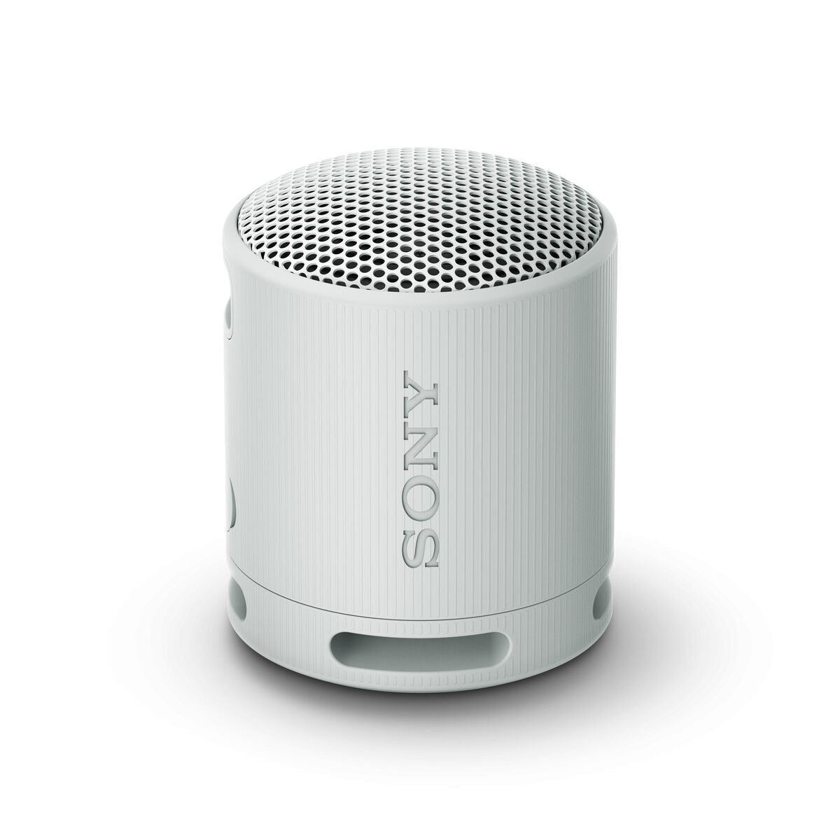 Portable Bluetooth Speakers Sony SRSXB100H.CE7 Grey-0