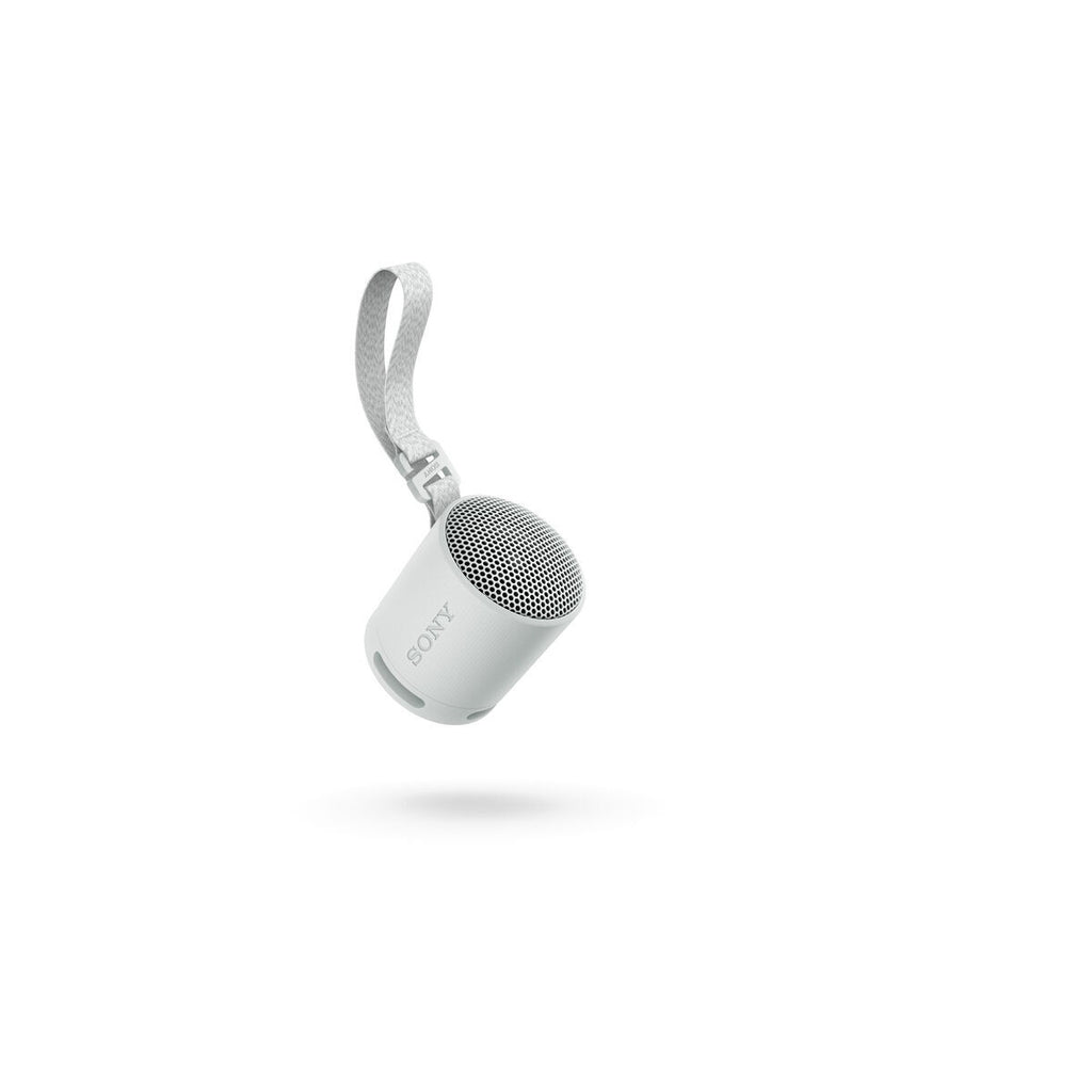 Portable Bluetooth Speakers Sony SRSXB100H.CE7 Grey-1