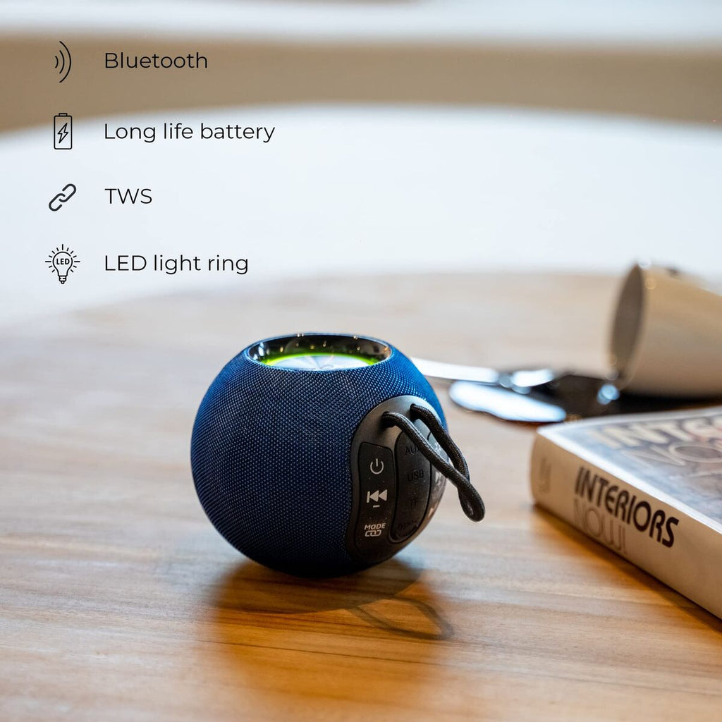 Portable Speaker Ibiza BOOMY-2