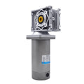 DC/12V  gear motor worm gear reducer